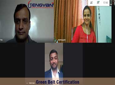 green belt certification cost