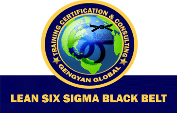 Lean Six Sigma Black Belt