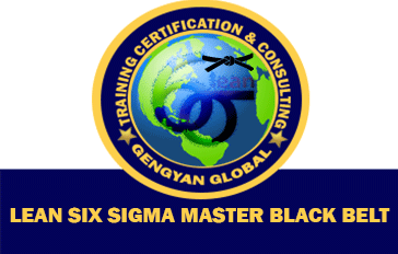 Lean Six Sigma Master Black Belt